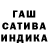COCAIN Columbia Anna Gospodinov