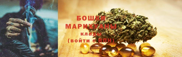 гашик Елизово
