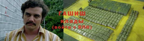 гашик Елизово
