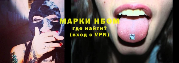 гашик Елизово