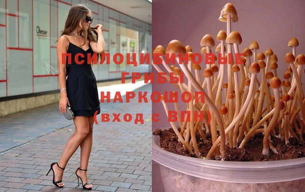 гашик Елизово