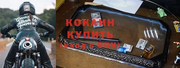 гашик Елизово