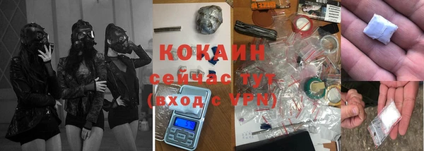 гашик Елизово