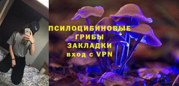гашик Елизово