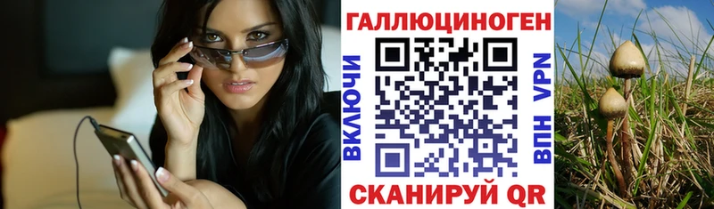 Купить  Сысерть  Галлюциногенные грибы GOLDEN TEACHER 